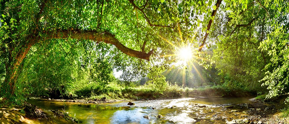 sustainerbility