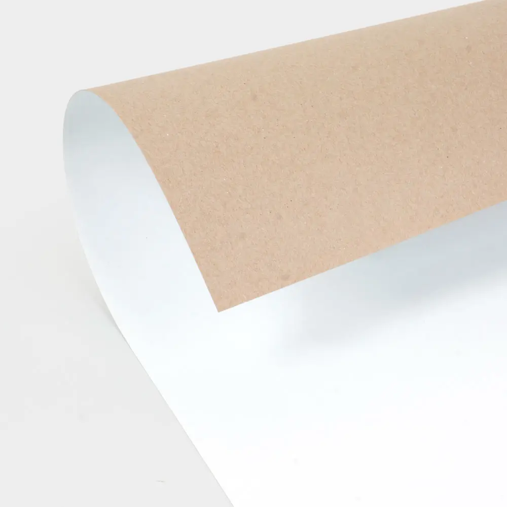 CCNB Paper